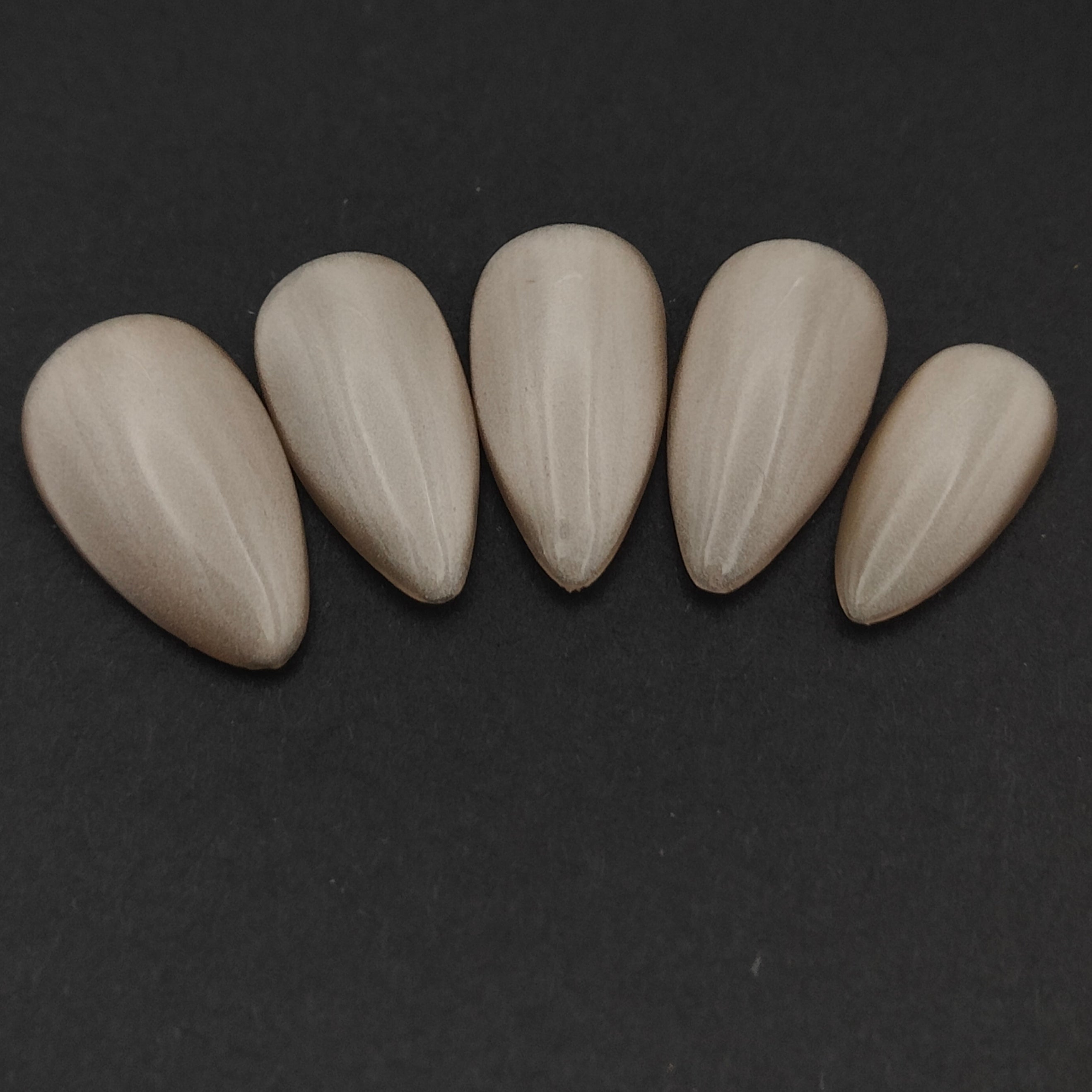 Sable d’Hermès – Cat Eyes