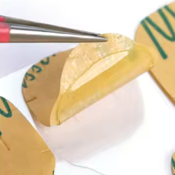 Pads adhésifs premium – Pose douce & réutilisable Déa Manus