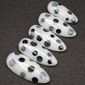 Pois Chic