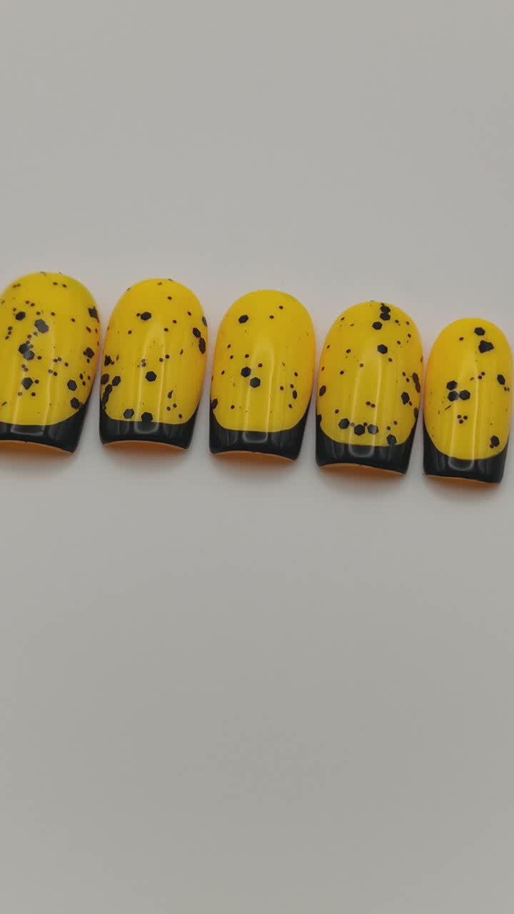 French Soleil Graphique